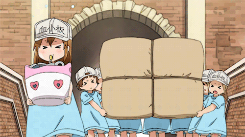 时隔14年，央视再播日本动画，为什么偏偏是这部？