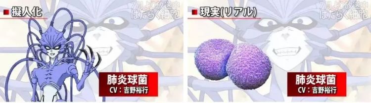 时隔14年，央视再播日本动画，为什么偏偏是这部？