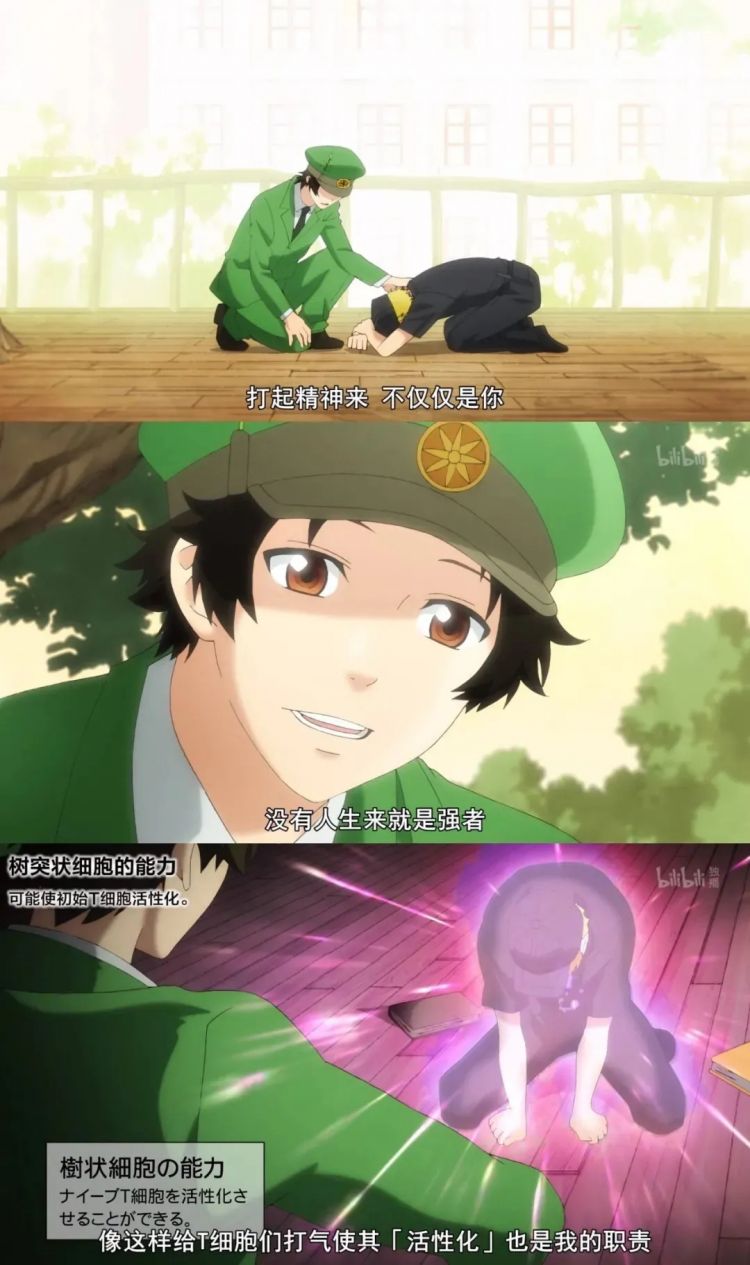 时隔14年，央视再播日本动画，为什么偏偏是这部？