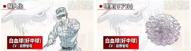 时隔14年，央视再播日本动画，为什么偏偏是这部？