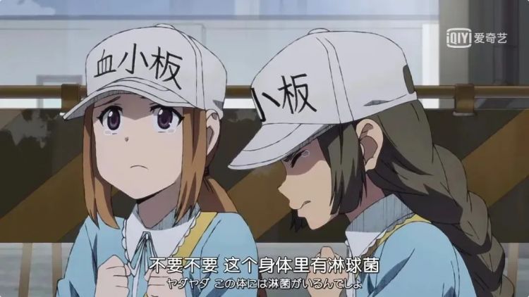 时隔14年，央视再播日本动画，为什么偏偏是这部？