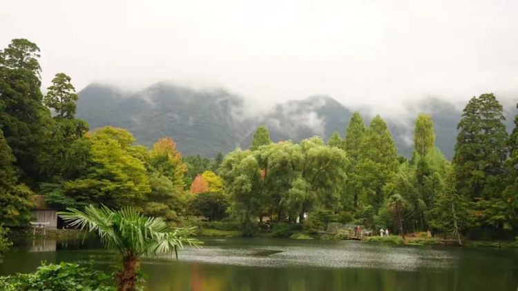 日本的雨文化：纤细、多情与神经质