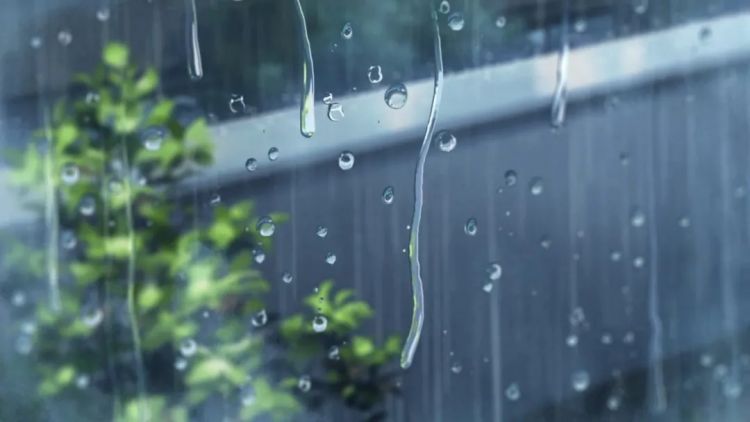 日本的雨文化：纤细、多情与神经质