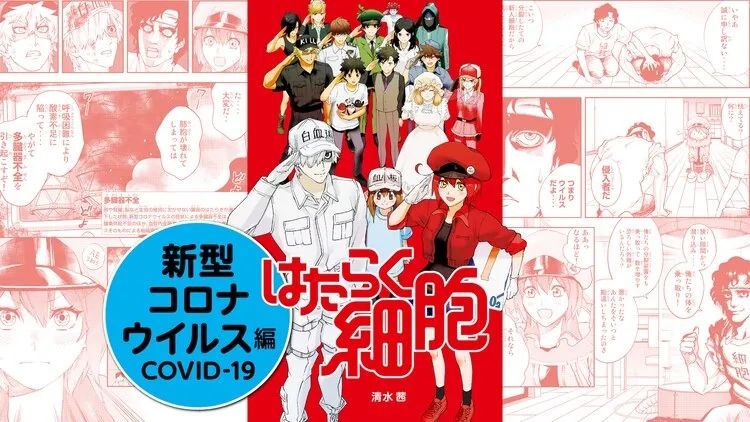 77岁日本富豪被毒杀案件告破；本田已在开发小型火箭丨百通板 第27期