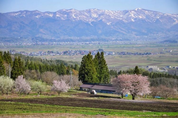 被吸空心的日本乡村，还有救吗？