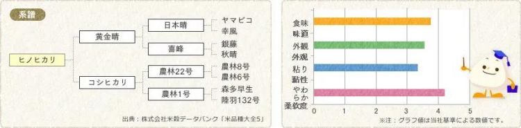 日本大米消亡史