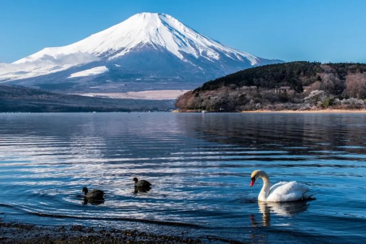 日本最有名的山，藏着最牛的房东