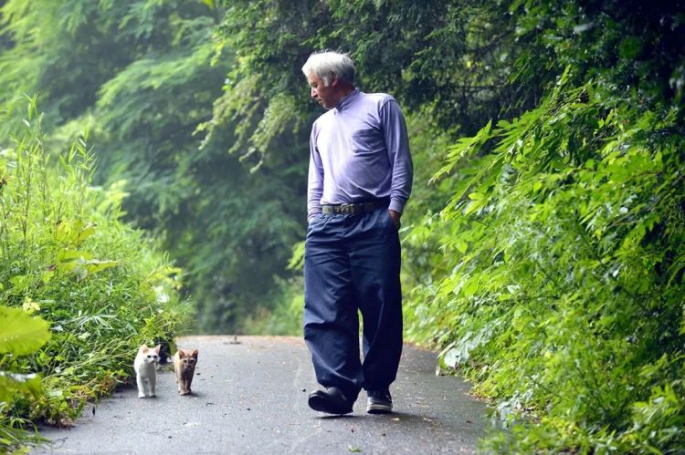 为了猫，他留在核泄漏区生活了10年