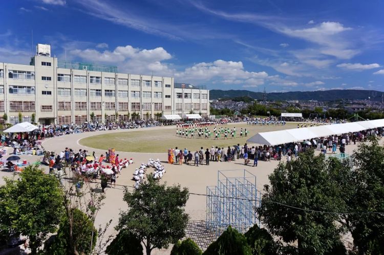 如果《小舍得》的故事发生在日本 如果《小舍得》的故事发生在日本