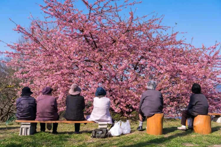 日本独居女性的晚年，或许是我们的未来