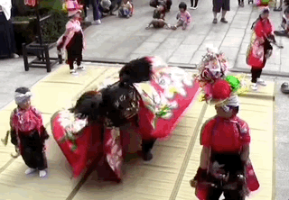 看日本舞狮，成了我最近的快乐源泉