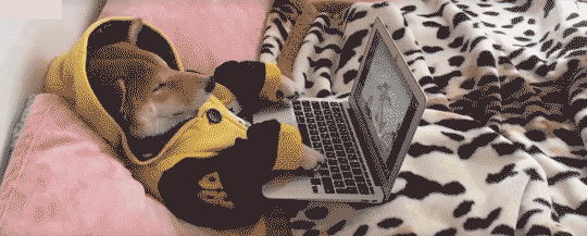 秋季日剧不完全盘点，终于有想追的剧了!