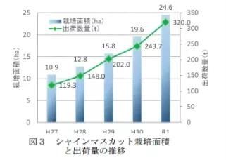 日本的天价葡萄，在中国为什么越卖越便宜