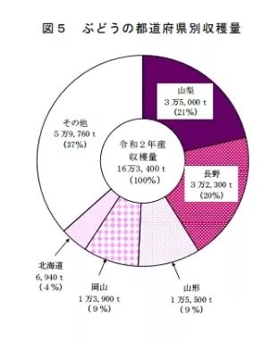 日本的天价葡萄，在中国为什么越卖越便宜