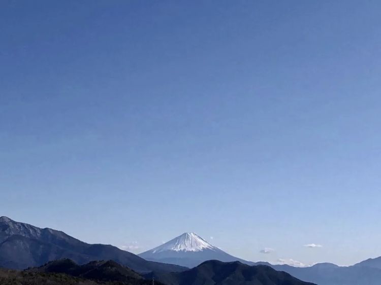 中国女孩隐居日本乡下4年，花40万买下森林小屋，开窗就能望见富士山