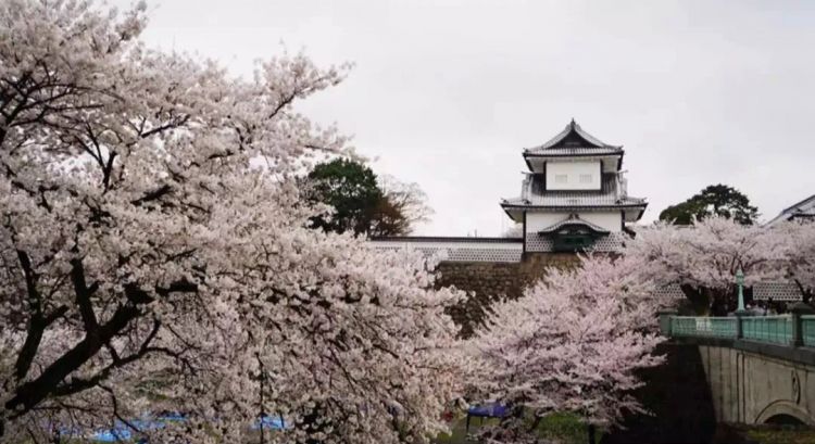 日本遍地都是“小京都”