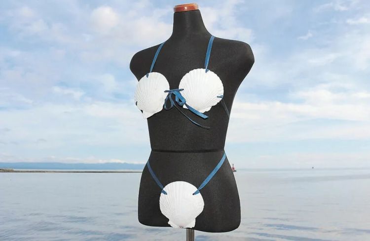 扇贝比基尼爆红，日本网友的评论亮了