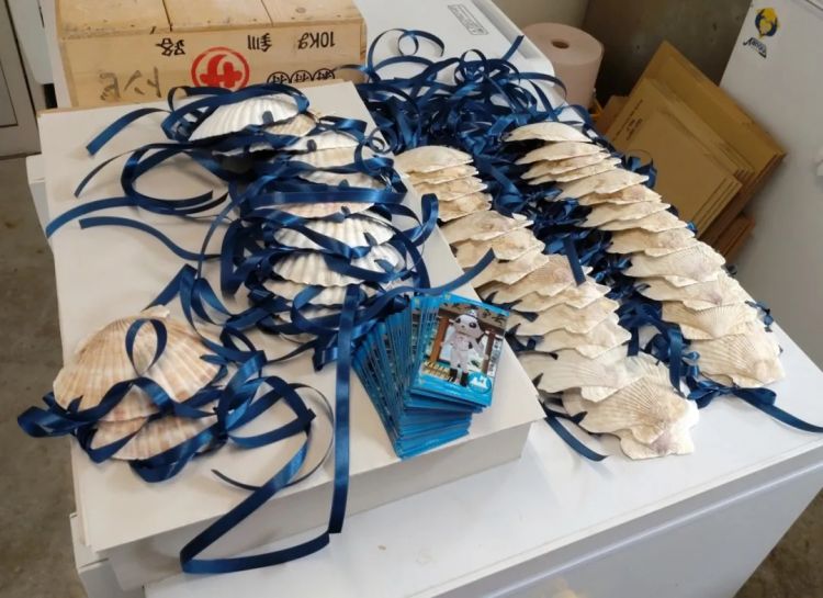 扇贝比基尼爆红，日本网友的评论亮了