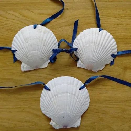 扇贝比基尼爆红，日本网友的评论亮了