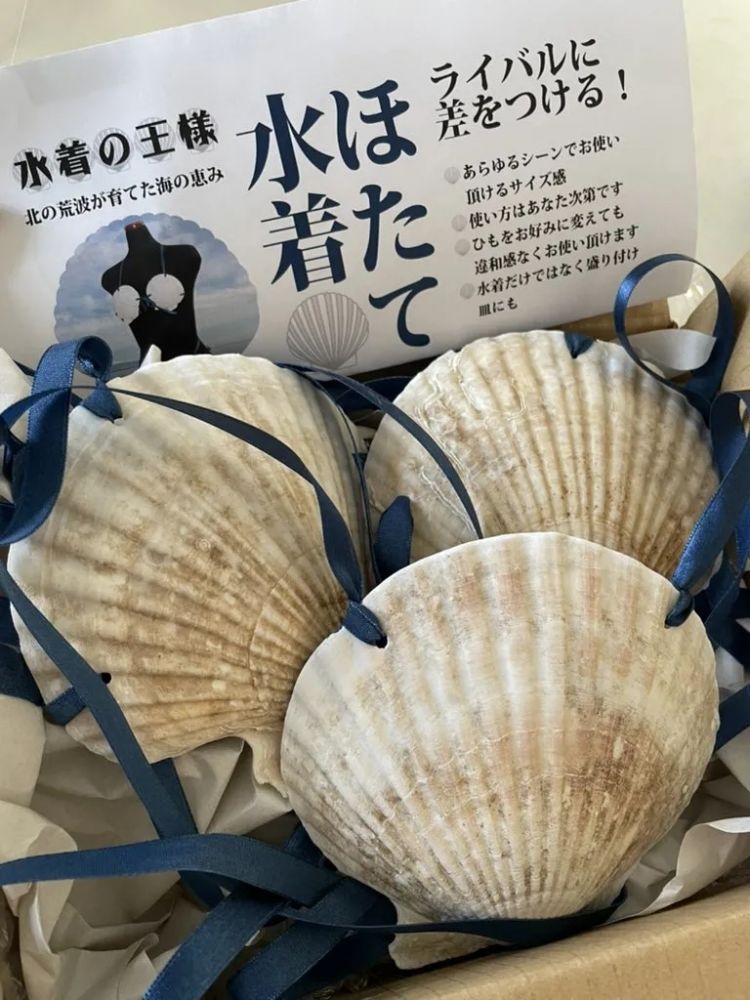 扇贝比基尼爆红，日本网友的评论亮了