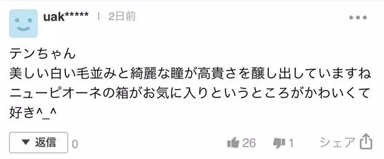 日本的招财猫，也开始内卷起来了