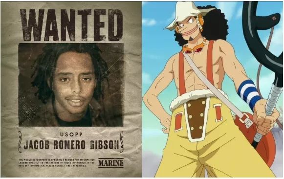 海贼王真人版演员阵容公开，中日网友都不淡定了