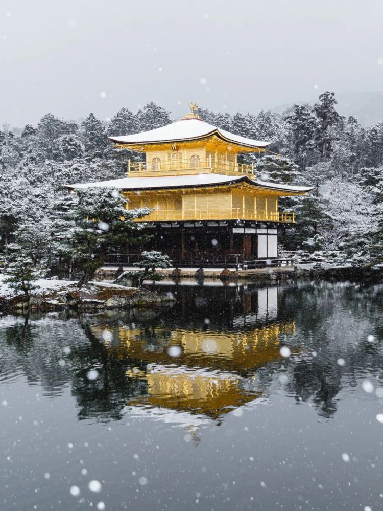 日本疫情再次反弹；松下宣布进军元宇宙；中日首次建立双边自贸关系丨百通板 第63期