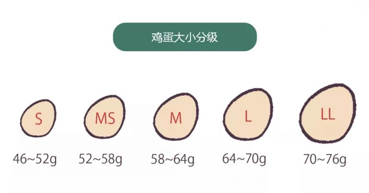 为什么日本人喜欢吃生鸡蛋？