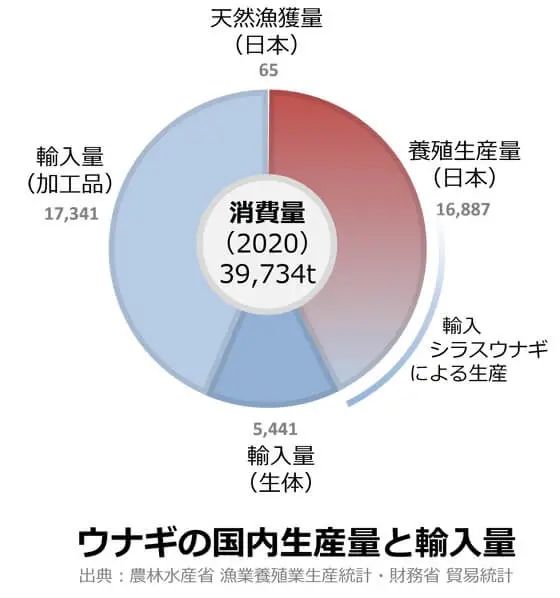 为什么日本人要用中国鳗鱼冒充日本鳗鱼？