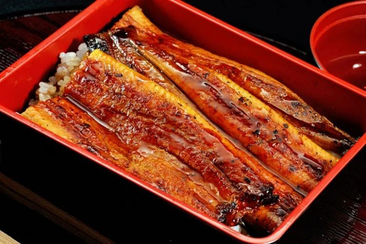 为什么日本人要用中国鳗鱼冒充日本鳗鱼？