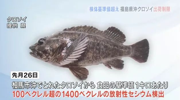 日韩网友因为冬奥会食物吵起来了；福岛近海捕获海鱼辐射严重超标丨百通板 第68期
