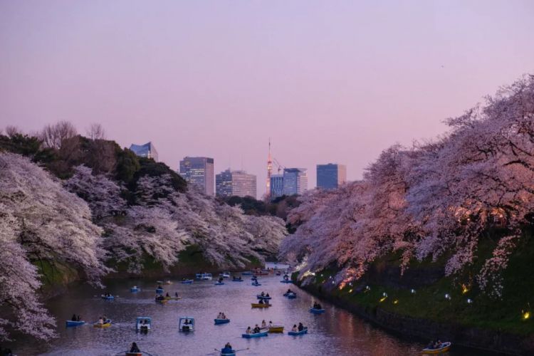 日本最文艺的城市，肯定不是京都！