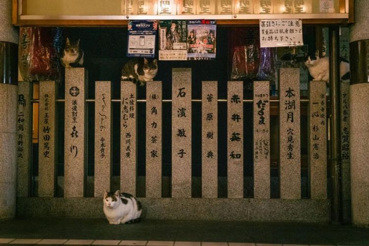 日本麒麟退出中国清凉饮料市场；任天堂暂不考虑元宇宙；东出昌大被事务所解雇丨百通板 第69期