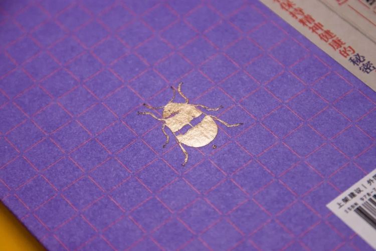 涩泽龙彦：日本文学的“梦”