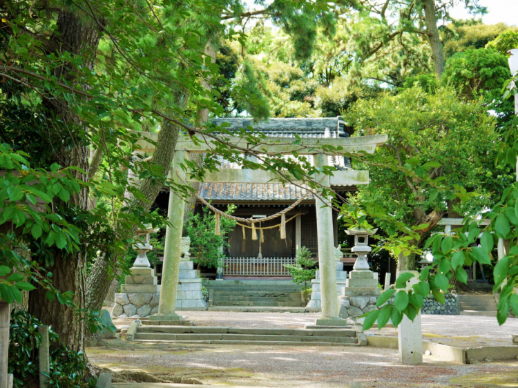 日本神社常见的这些木桶里装了啥，能喝吗？