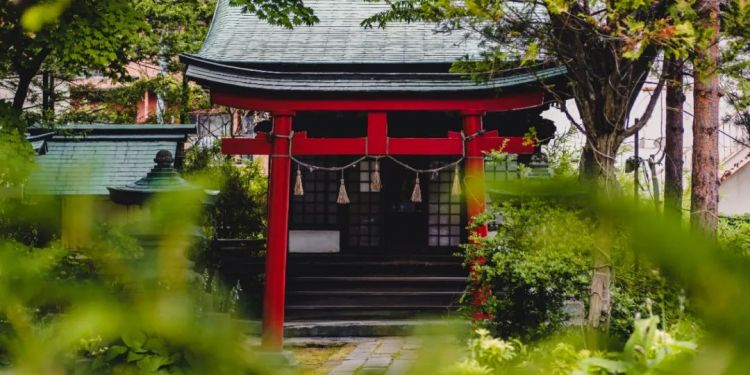 日本神社常见的这些木桶里装了啥，能喝吗？