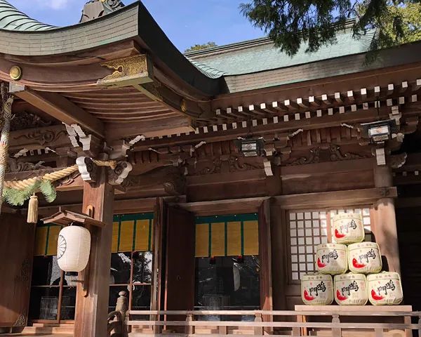 日本神社常见的这些木桶里装了啥，能喝吗？