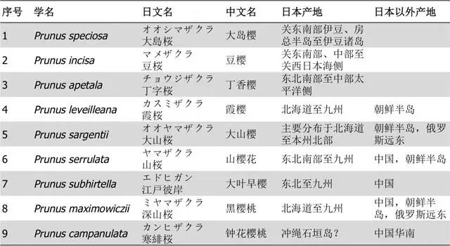 樱花到底是来自中国还是日本？