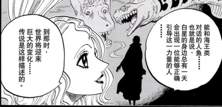 你从什么时候开始不看海贼王了 你从什么时候开始不看海贼王了