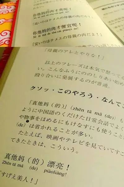 日本网友学中文“骚话”，我真的会笑死