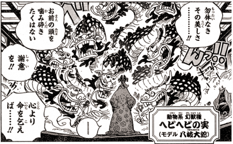 你从什么时候开始不看海贼王了 你从什么时候开始不看海贼王了