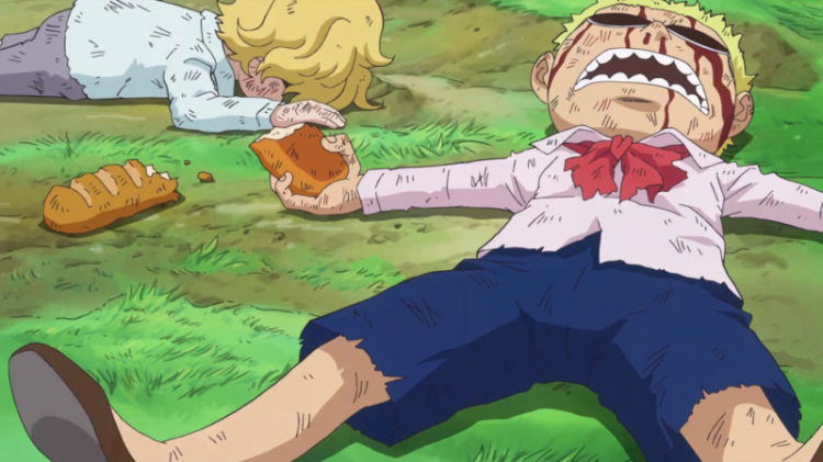 你从什么时候开始不看海贼王了 你从什么时候开始不看海贼王了