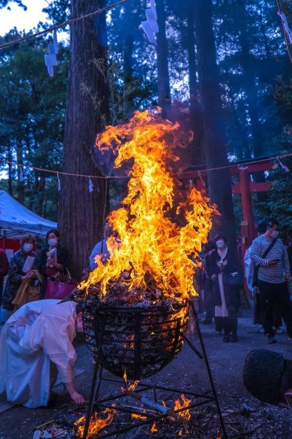 日本花9个亿拆除“世界第一观音像”；《龙樱》将被翻拍为国产剧丨百通板第78期