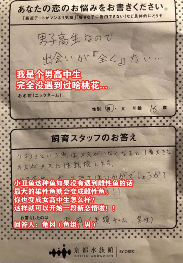 第94期：日本“最美公主”恋情曝光；安倍国葬经费或高达37亿日元丨百通板