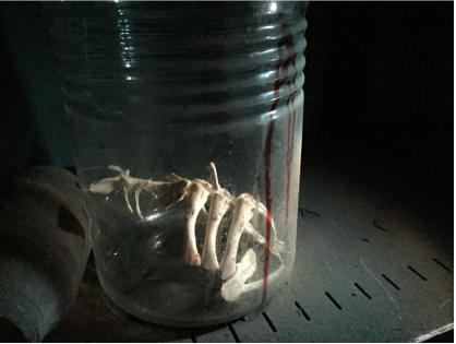 日本鬼屋，有点意思