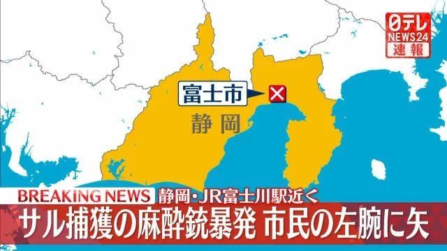 第97期：日本独居富婆诡异溺死案告破；中森明菜复出；一家很不想做生意的店丨百通板