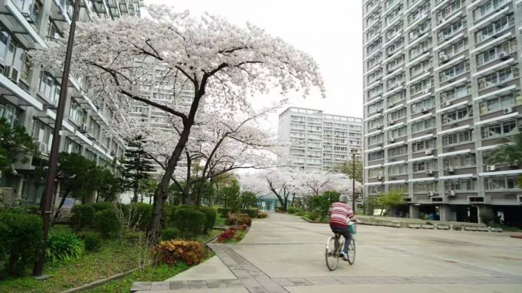 在日本骑自行车，规矩太多了