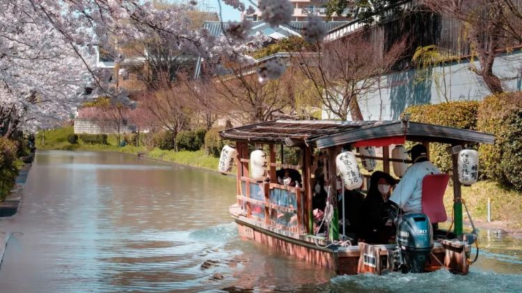 日本各地区抖出黑料：京都，原来还有这么多不为人知的一面