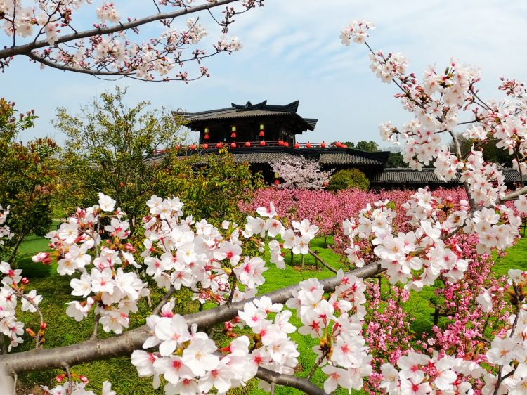 携手再唱“无锡旅情” 