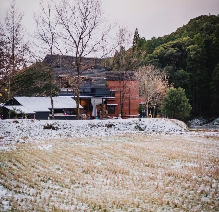 日本三胎家庭住进深山10年，买地仅9万人民币，独享广阔山林